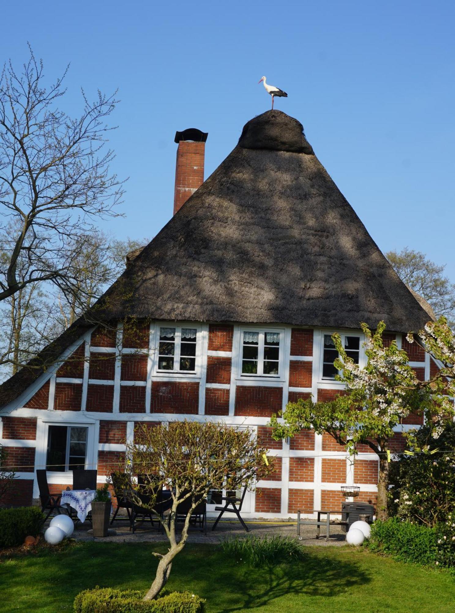 Altes Landhaus Oste, Klavier Appartement, 2 Zimmer Mit Kamin Hemmoor Luaran gambar